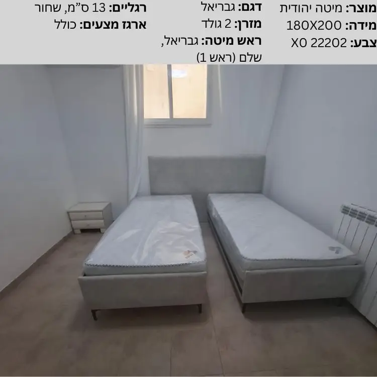 695569 - גבריאל, צור הדסה