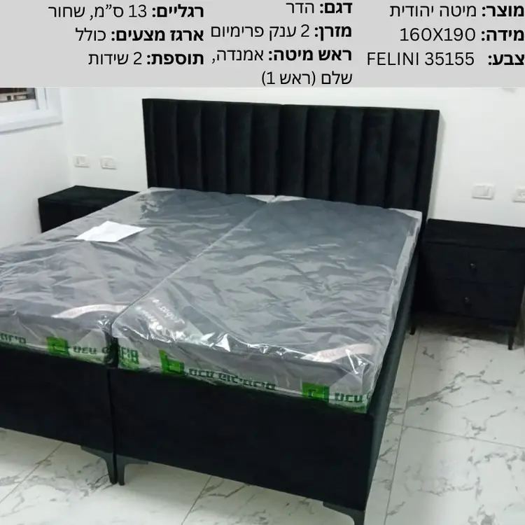 34.22 - הדר
